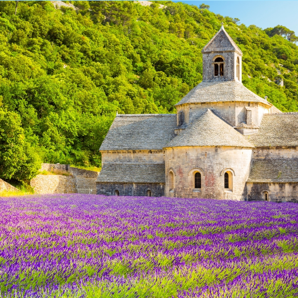 Sud Ouest France